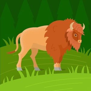 Meet your Posher, Alberto